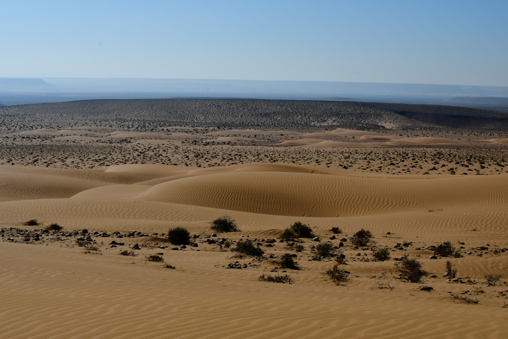 Aussicht ueber kleine Sandduenen Dunst in Ferne