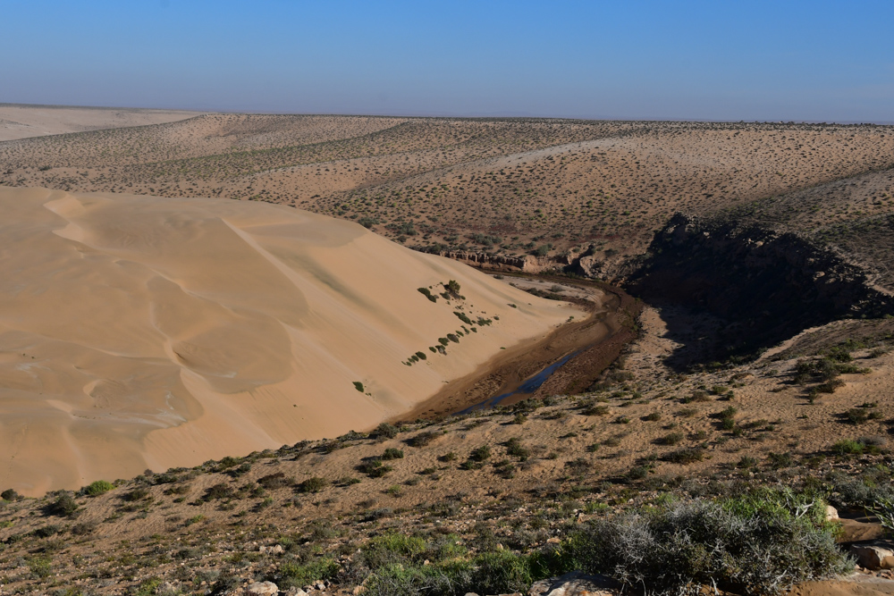 Grosse Sandduene Plage Blanche Fluss