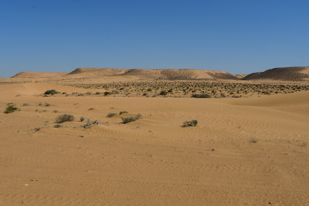 Kleine Sandduenen in Ferne