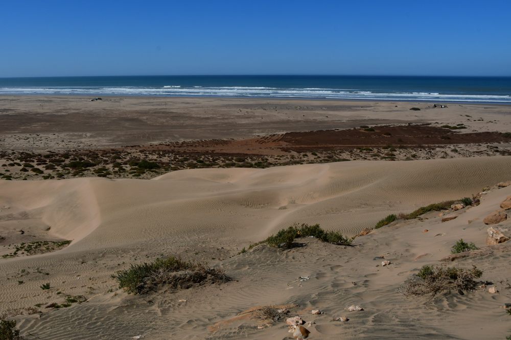 Sandduenen am Strand Plange Blanche