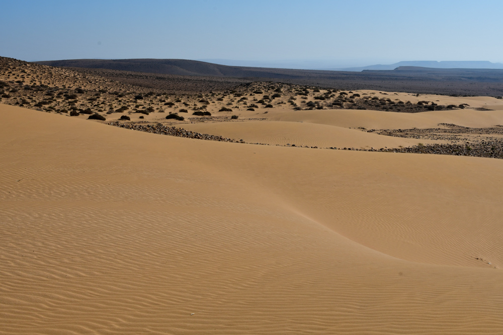 Sandduenen bewachsene Huegel im Hintergrund