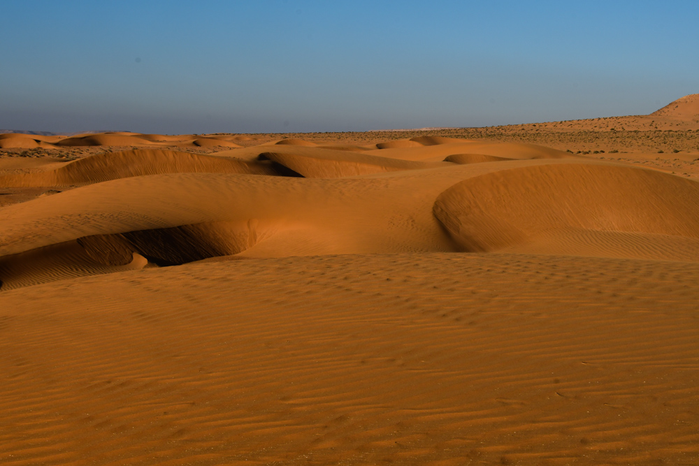 Sandduenen leuchten Abendsonne Schattenspiel