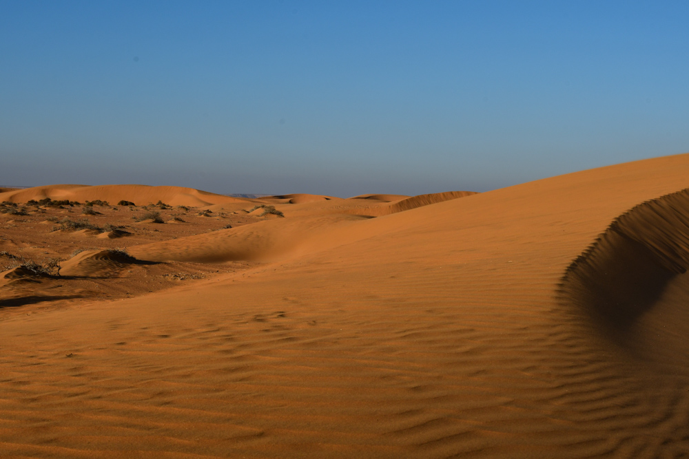 Sandduenen leuchten in Abendsonne