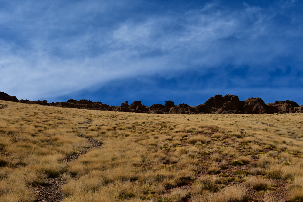 Gelbe Wiese Felsen am Horizont