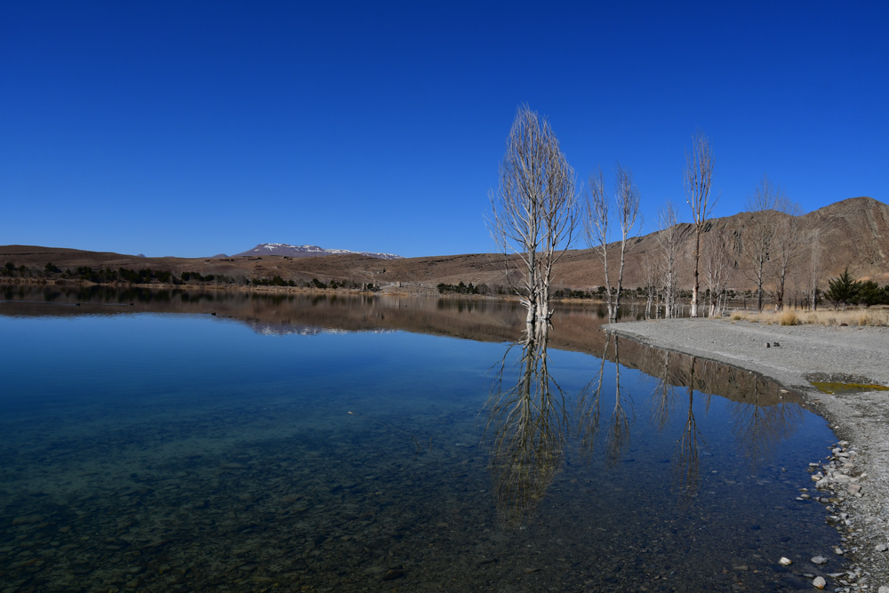 Lac de Tislit Baeume im Wasser