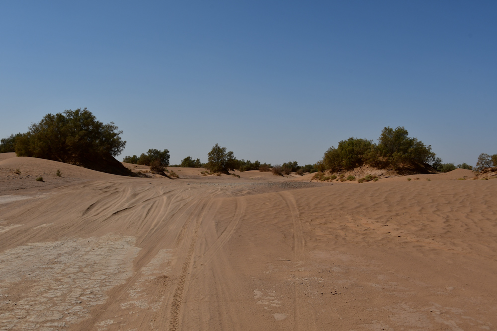 Sandpiste zum Erg Chegaga