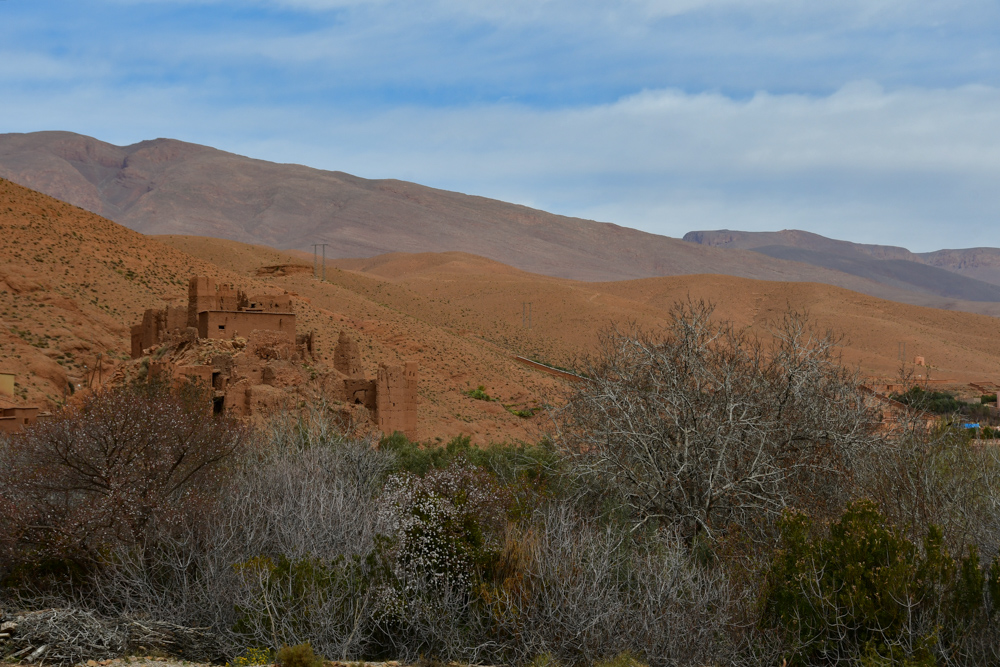 Zerfallener Kasbah Baeume Berge