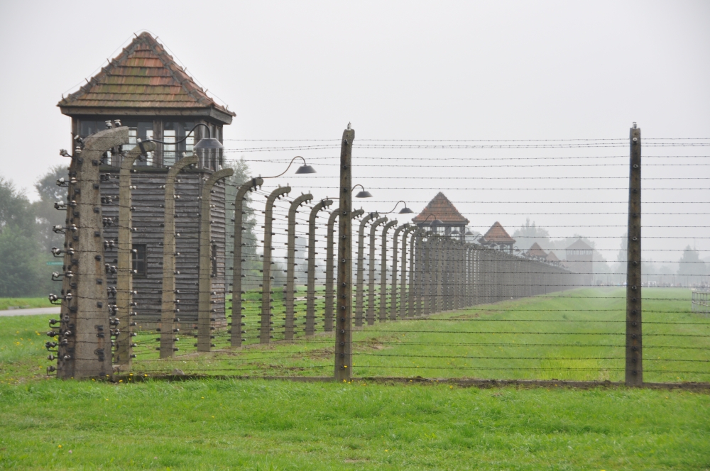 Zaun Auschwitz-Birkenau