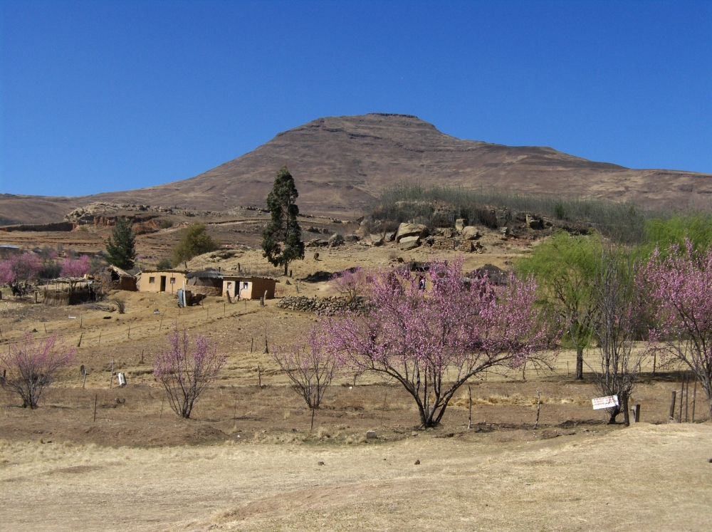 Bergdorf in Lesotho