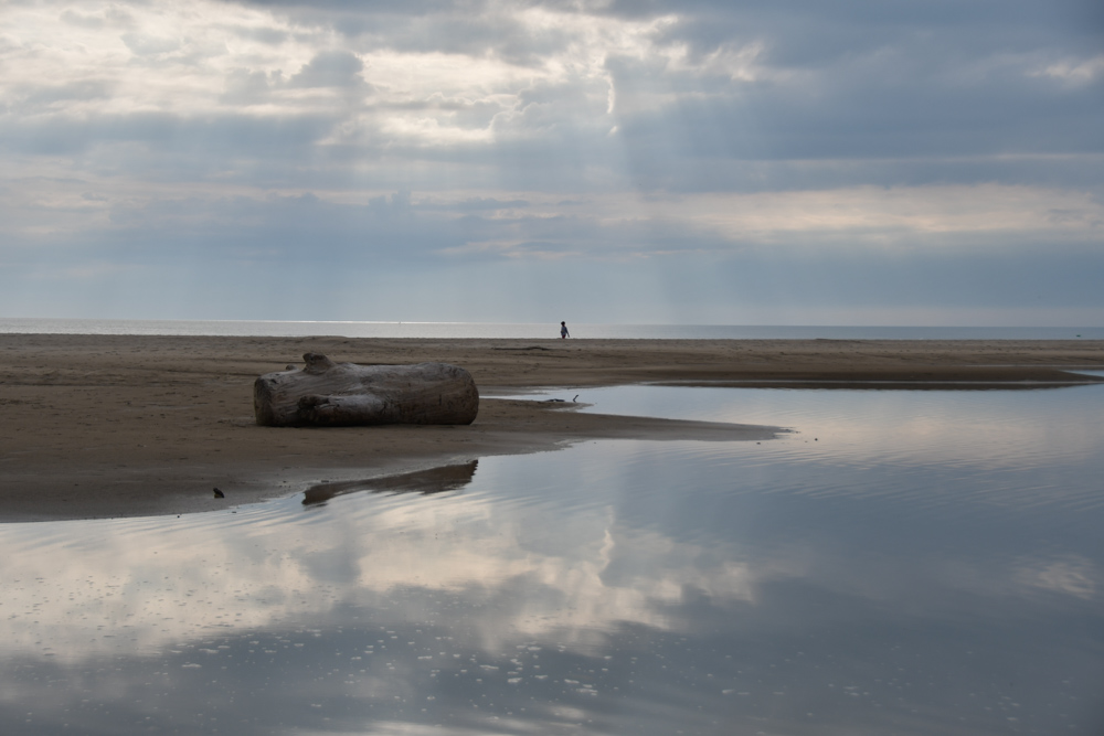 Baumstrunk Junge am Meer Sonne scheint durch Wolkenloch