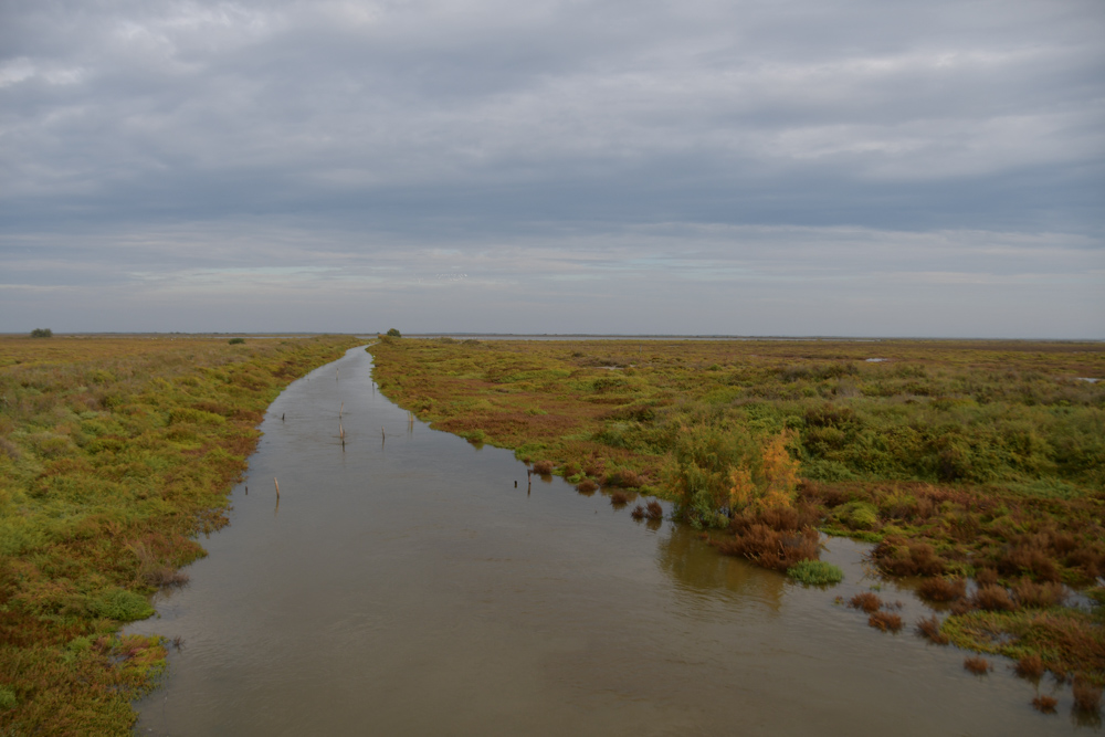 Sumpflandschaft Fluss Camarque