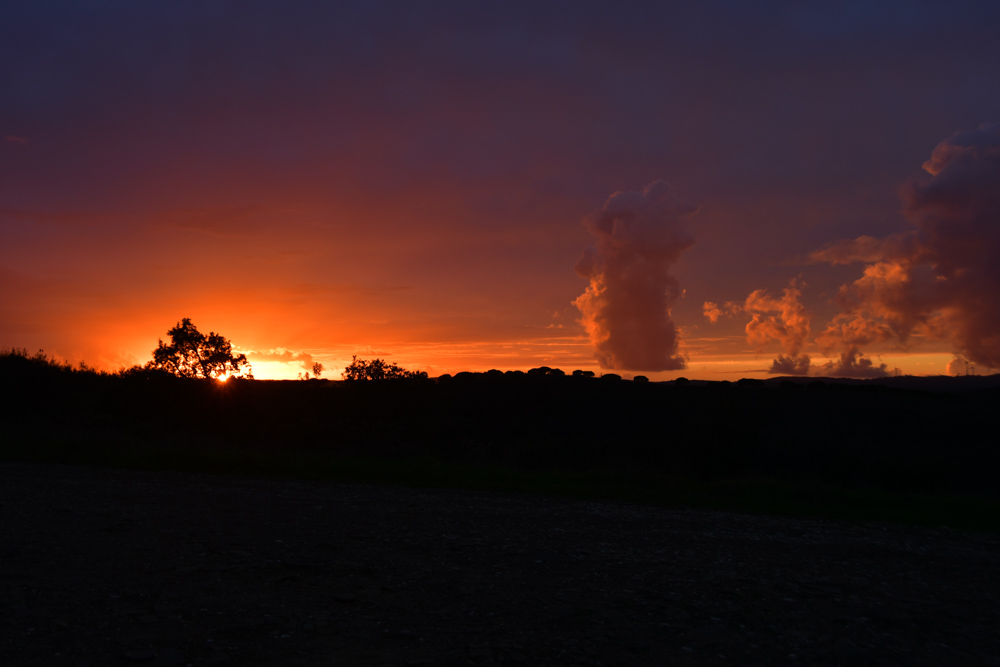 Sonnenuntergang Wolkenbilder Baum