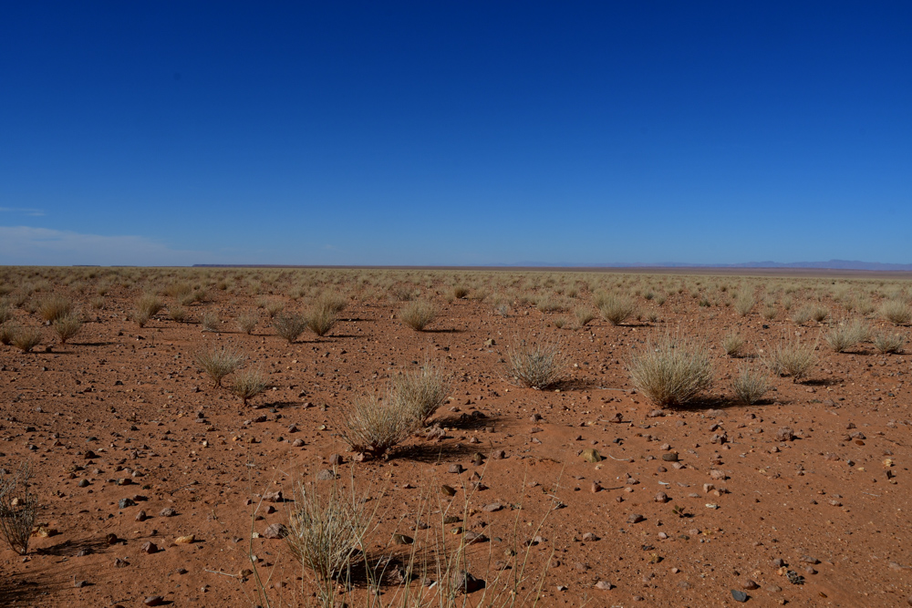 Sand Bueschel blauer Himmel- Rchtung Erfoud